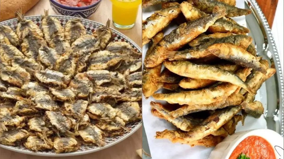 Fried Sardines Recipe from Morocco with Tomato Sauce & Harissa