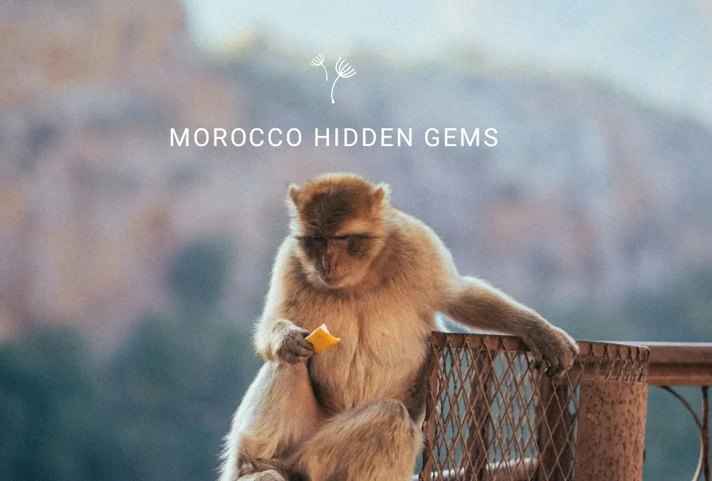 Hidden Gems in Morocco Most Tourists Miss
