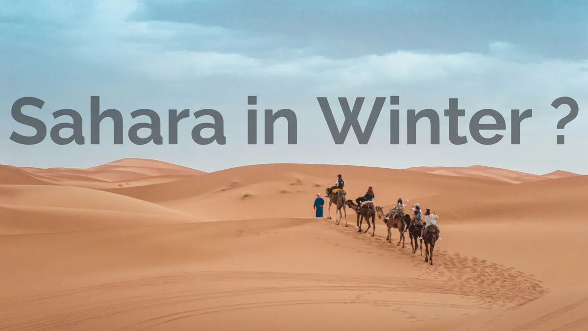 Visiting the Sahara in winter Is Not A Bad Idea