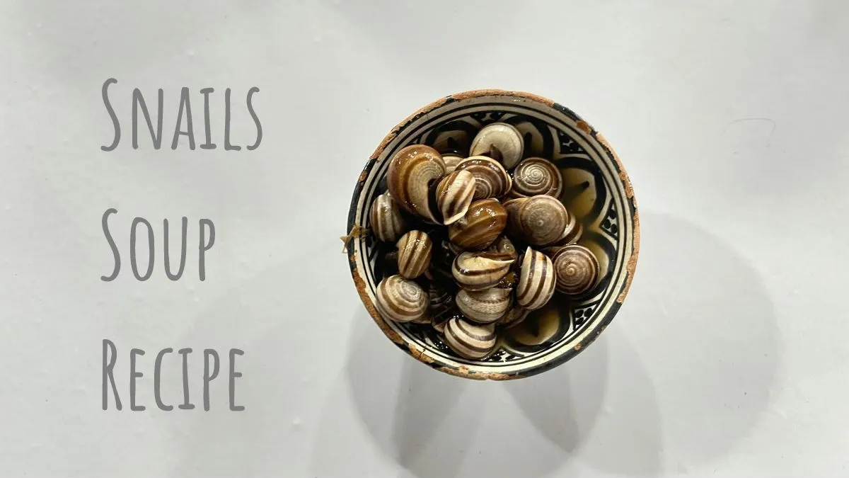 Moroccan Snails Soup (Babbouche) Recipe: Dare to Try It?