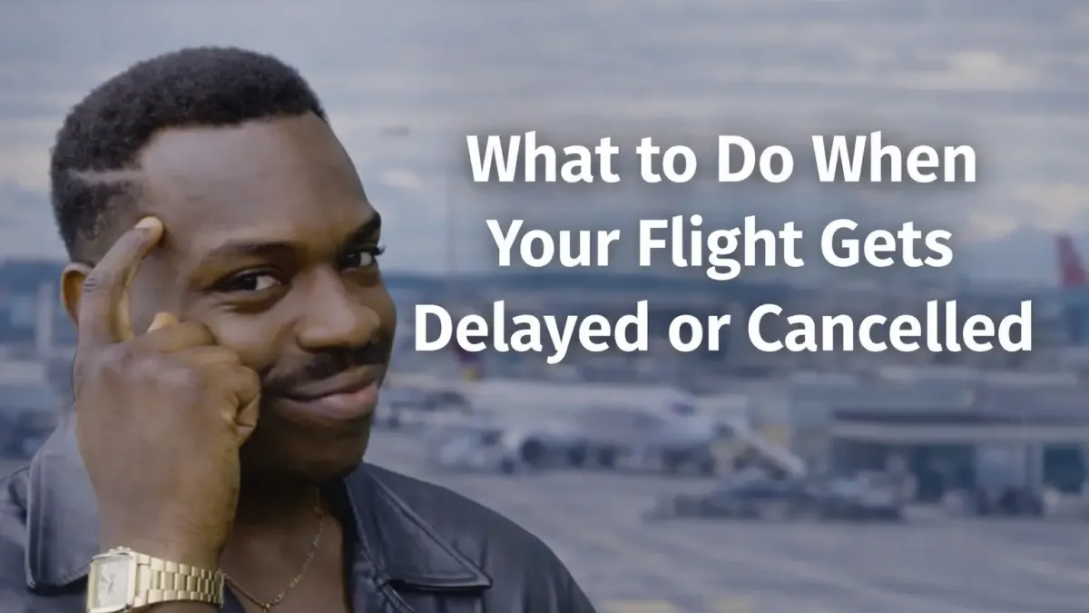 What to Do When Your Flight Gets Delayed or Cancelled